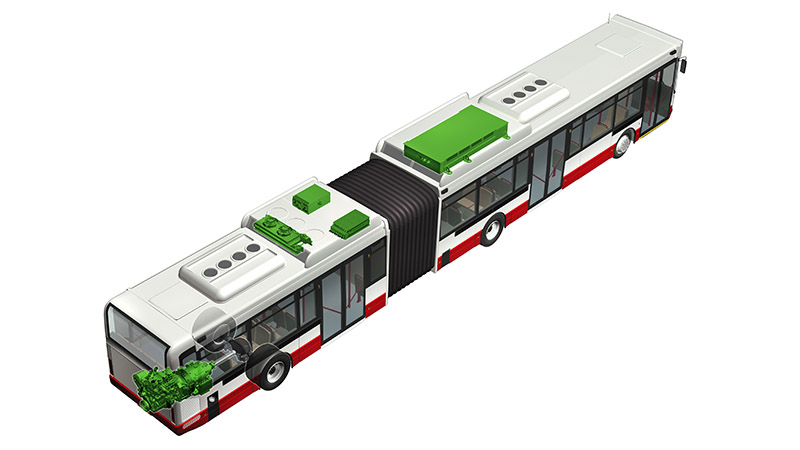 Articulated bus diagram and rendering